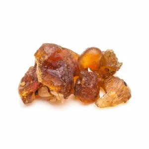 Guggulu - Commiphora mukul 