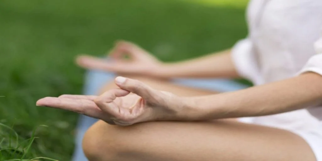 resize-15998957811291930005resize15994607871941996627Meditating2650x450-1-1024x512-1