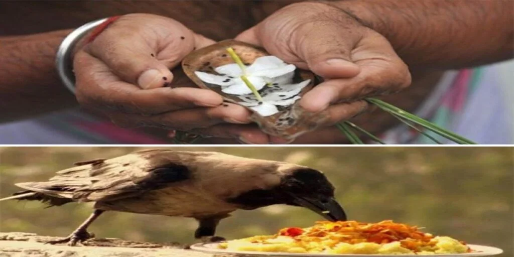 resize-16000729329375338561537610382ifairer-1024x512