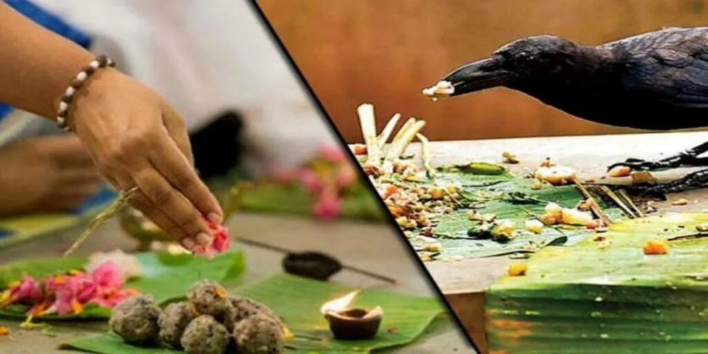 resize-1600072987136296775shradh5080728835x547m-1-1024x512