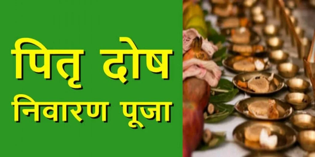 resize-16000753451333769641resize15990479141097180437pitradoshapujaimportance-1024x512