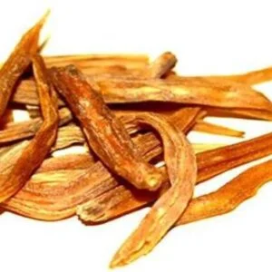 SHATAVARI (WILD ASPARAGUS)