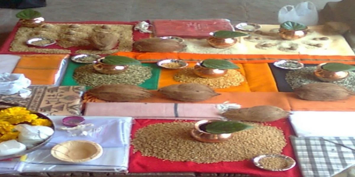 resize-1600072696703659744resize15980774782124165950narayanbalisanskara800x800