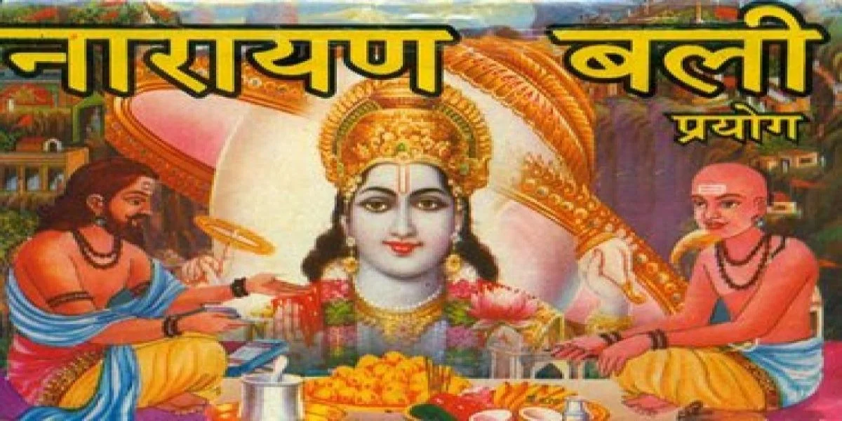 resize-1600072740991328306resize1598077541906760922nzg007-1-1