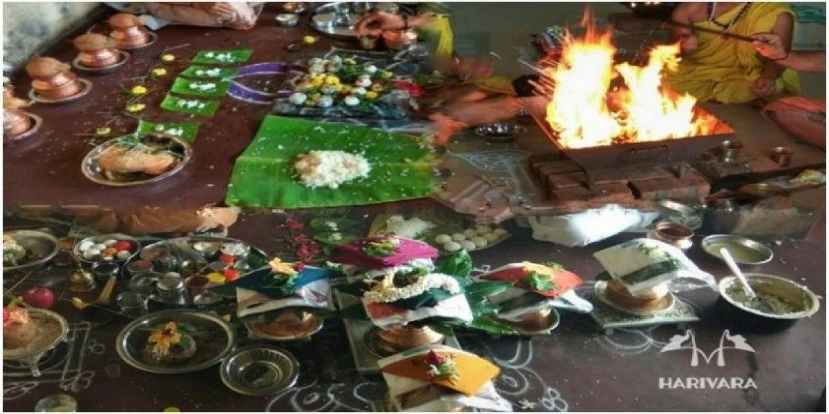 resize-1600072755905606636resize15980775601594961170editthispic